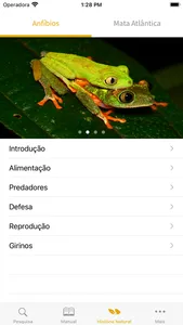 Anfíbios da Mata Atlântica screenshot 2