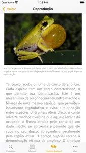 Anfíbios da Mata Atlântica screenshot 3