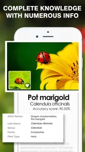 Smart Identifier: Plant+Insect screenshot 0