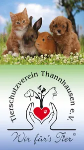 Tierschutzverein Thannhausen screenshot 0