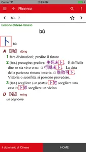 il dizionario di Cinese screenshot 3