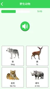 Learn Chinese for Beginners screenshot 1