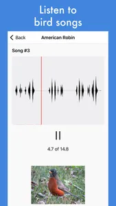 Smart Bird ID: Bird Identifier screenshot 6