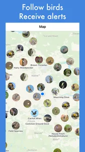 Smart Bird ID: Bird Identifier screenshot 7