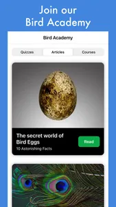 Smart Bird ID: Bird Identifier screenshot 8