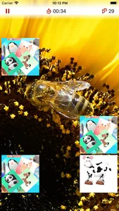 Animal Pexeso screenshot 1