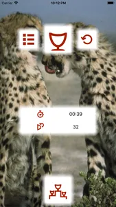 Animal Pexeso screenshot 2