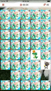 Animal Pexeso screenshot 3