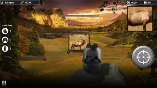 Deer Target Shooting : Pro screenshot 3