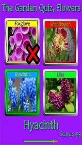 The Garden Quiz: Flowers screenshot 0