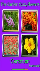 The Garden Quiz: Flowers screenshot 1