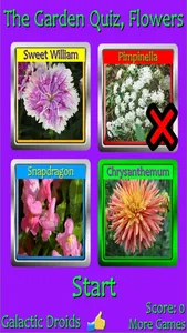 The Garden Quiz: Flowers screenshot 2