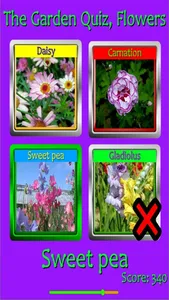 The Garden Quiz: Flowers screenshot 4