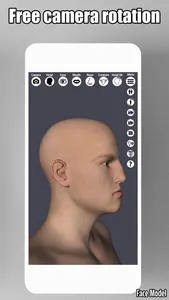 Face Model -posable human head screenshot 5