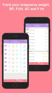 Pregnancy Tools screenshot 3