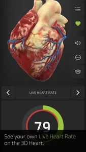 INSIGHT HEART screenshot 7