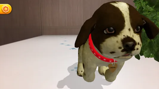 My Perfect Puppy screenshot 3