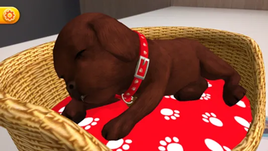 My Perfect Puppy screenshot 4