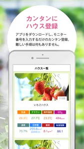 いちごfarmo screenshot 1