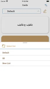 Lughatuna Arabic dictionary screenshot 4