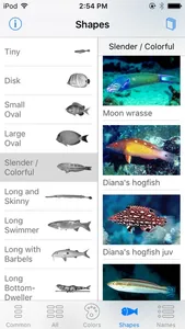 Oman Fish ID screenshot 7