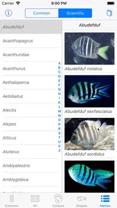 Oman Fish ID screenshot 8