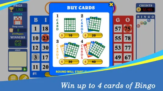 Bingo Classic™ screenshot 3