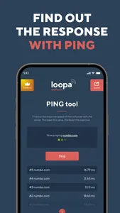 Network Analyzer Master: Loopa screenshot 4