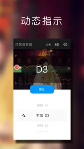 琵琶调音大师 - 快捷专业调音器 screenshot 1