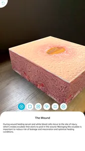 Biatain® AR App screenshot 0