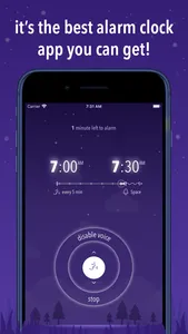 Gentle Talking Alarm Clock Pro screenshot 6