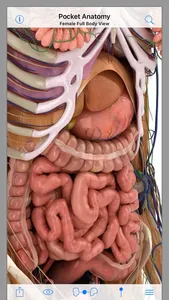 Pocket Anatomy screenshot 3