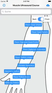 Muscle Ultrasound Course screenshot 1