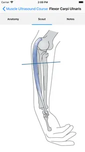 Muscle Ultrasound Course screenshot 2