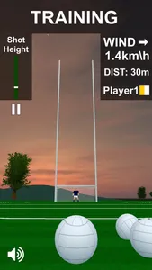 Flick Gaelic Football screenshot 1