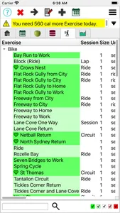 JXCirrus CalCount screenshot 6