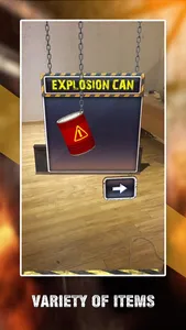 Can Knockdown AR Pro screenshot 4