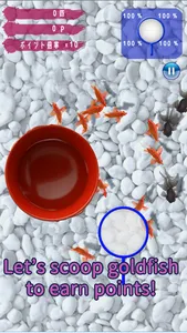 Goldfish Collection. screenshot 3