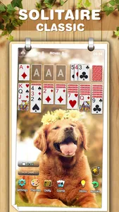 Solitaire Classic ◆ Card Game screenshot 3