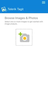 Telerik Tagit screenshot 0