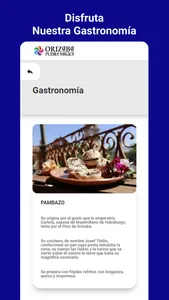 Orizaba Pueblo Mágico screenshot 2