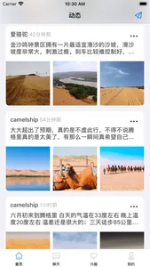 camelship screenshot 0