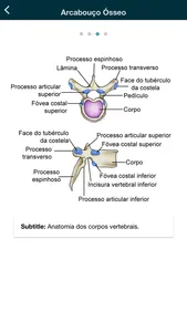 Thorax - thoracic radiology screenshot 1