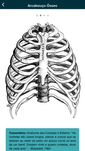 Thorax - thoracic radiology screenshot 9