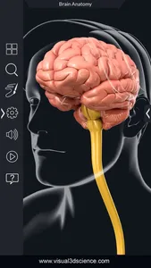 My Brain Anatomy screenshot 0