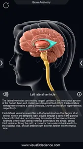 My Brain Anatomy screenshot 3