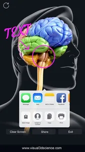 My Brain Anatomy screenshot 5