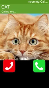 Call Cat 2 screenshot 0