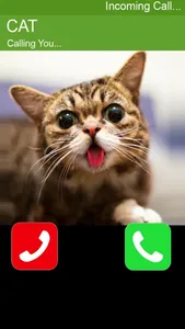 Call Cat 2 screenshot 2