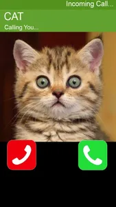 Call Cat 2 screenshot 3